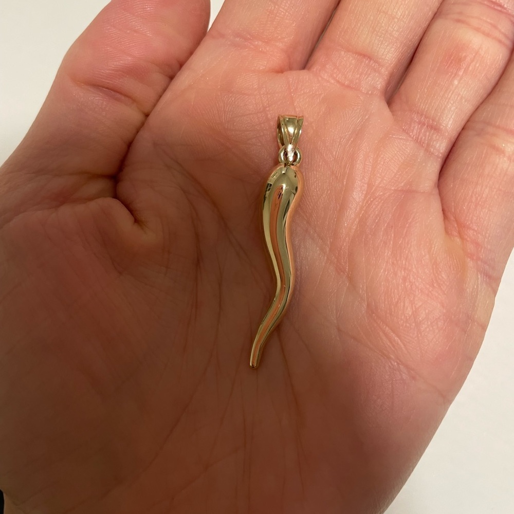 10k gold Italian horn charm